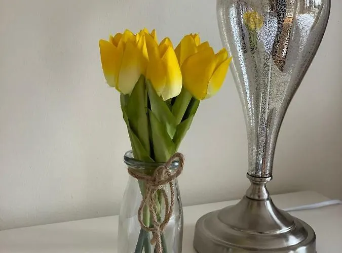 Burrowlodge Kilfenora